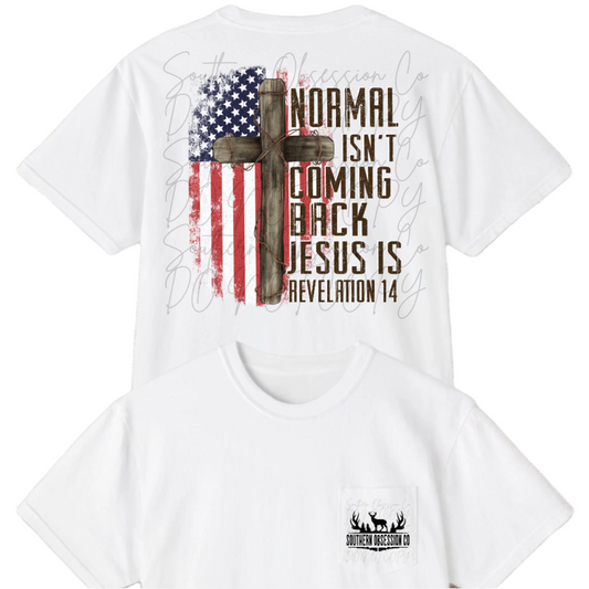 Normal isn't coming back