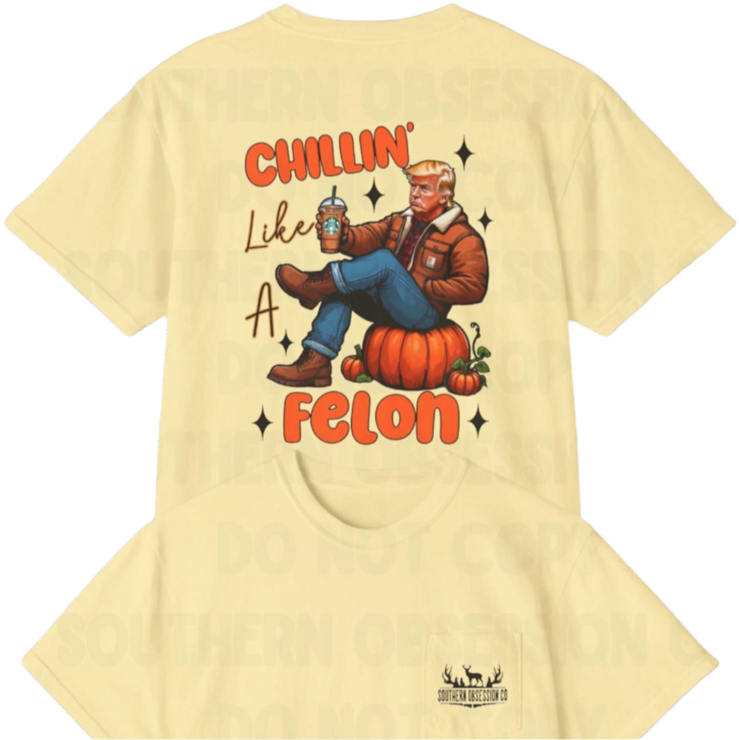 Fall Felon Trump