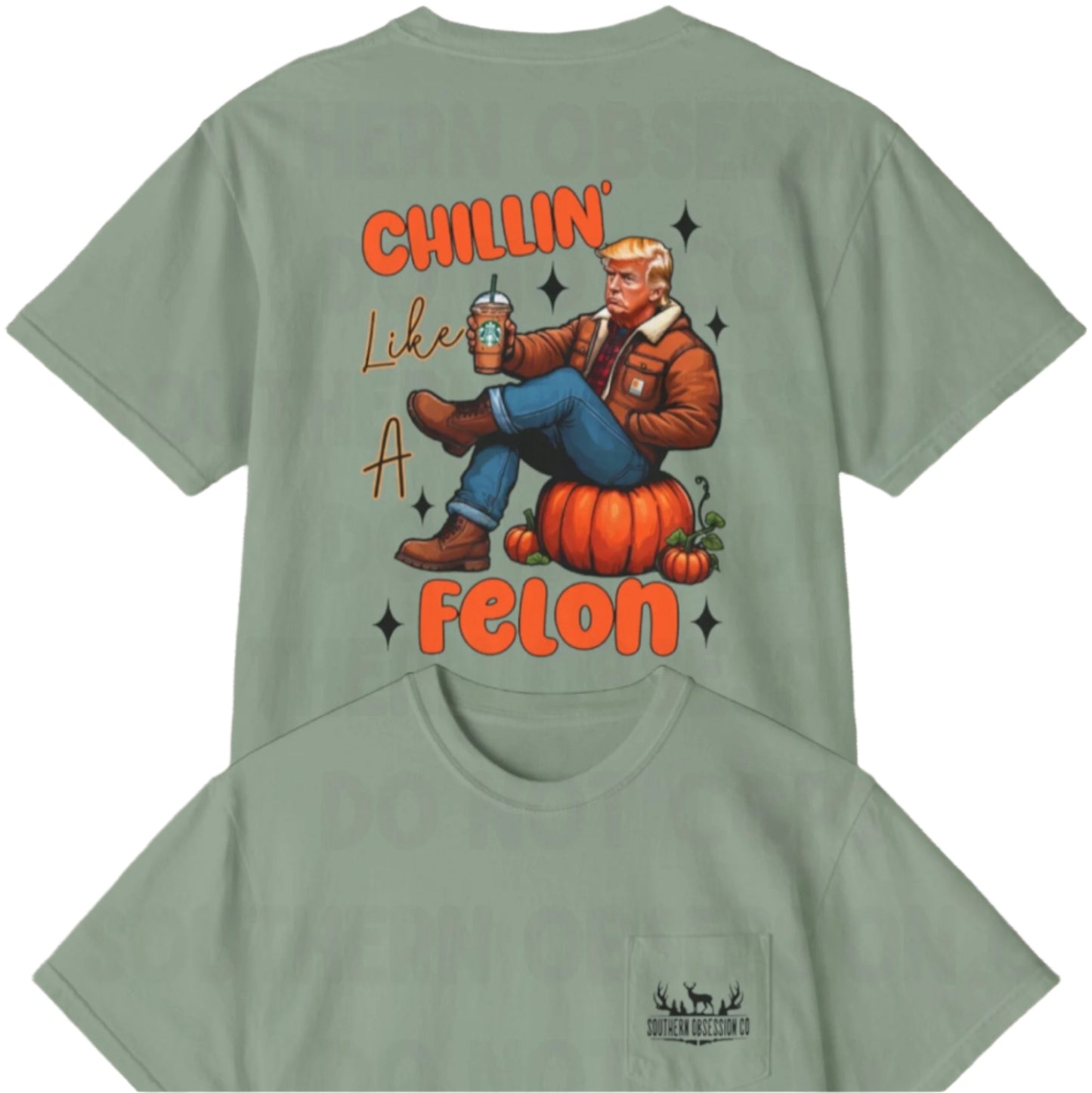Fall Felon Trump
