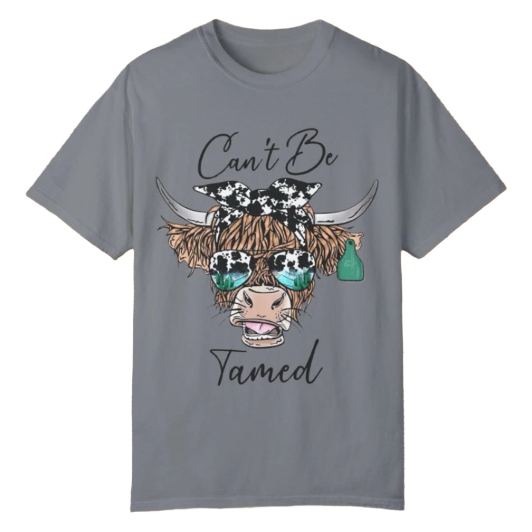 Can't Be Tamed Tee - Southern Obsession Co.