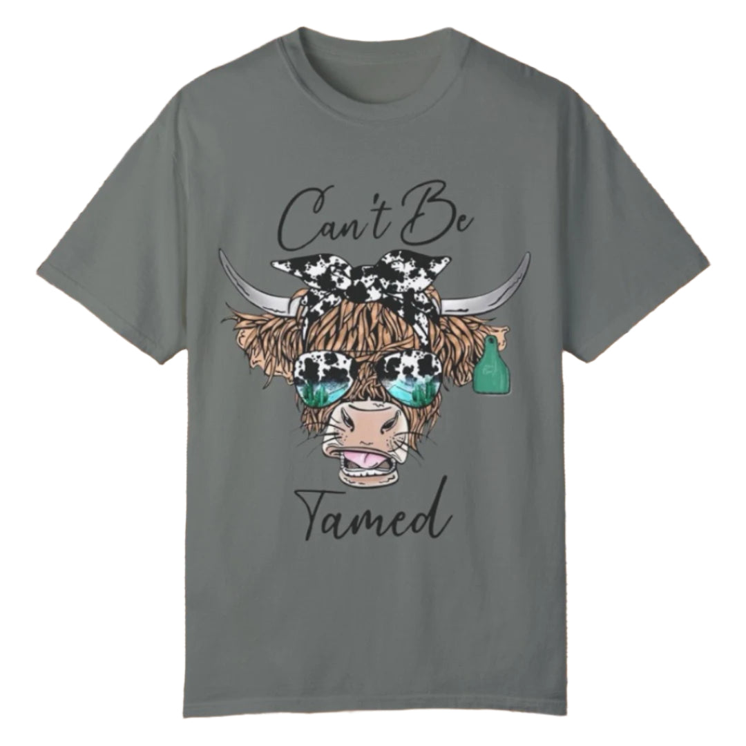 Can't Be Tamed Tee - Southern Obsession Co.