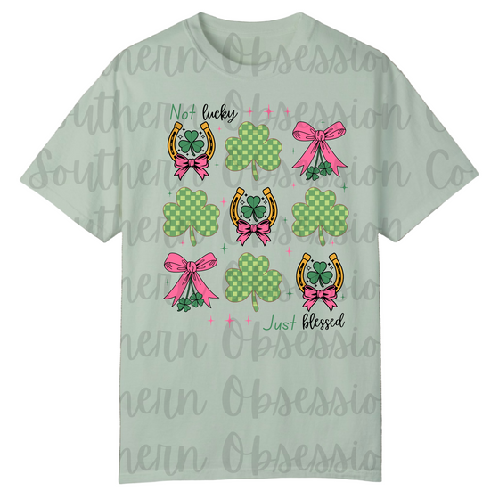 Horse Shoes Just Blessed