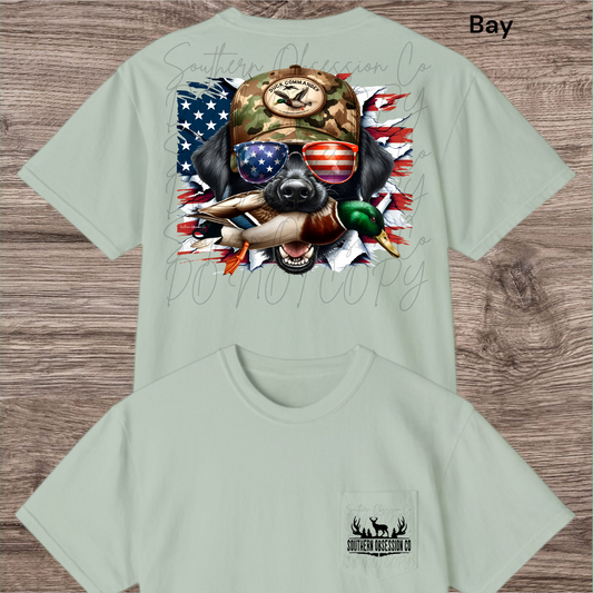 American Lab