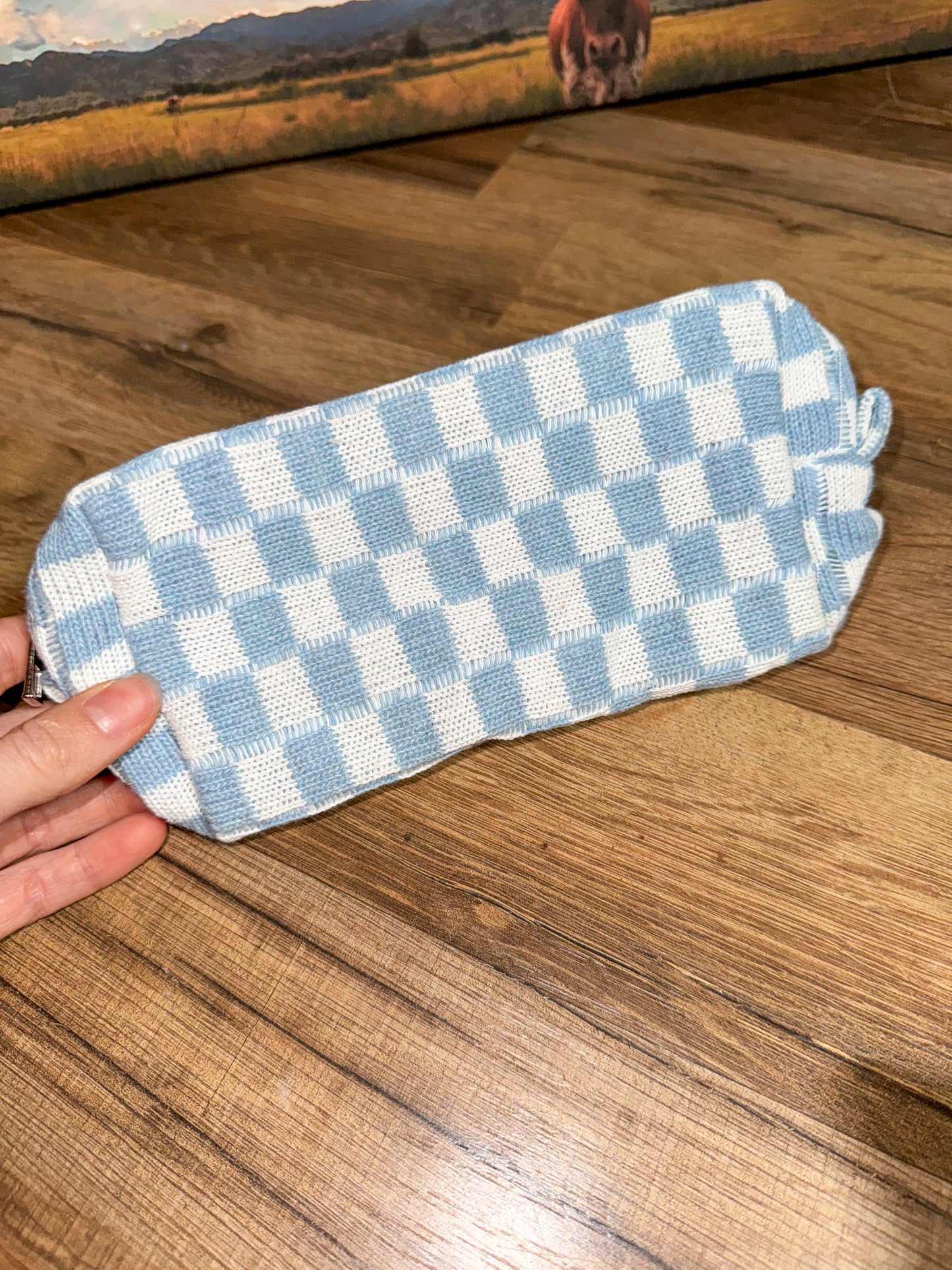 Checkered Blue Pouch