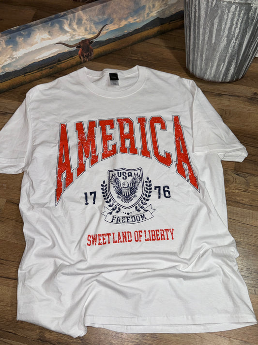 Sweetland of Liberty Tshirt Dress