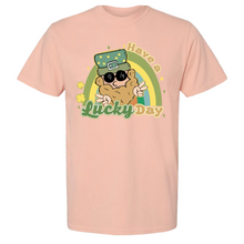  Have a Lucky Day Rainbow