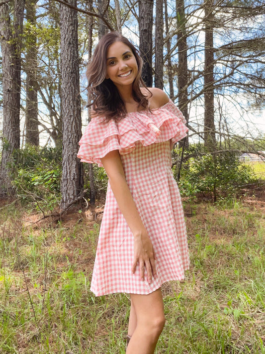 Pink Coral Picnic Dress - Southern Obsession Co. 